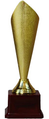Award Image